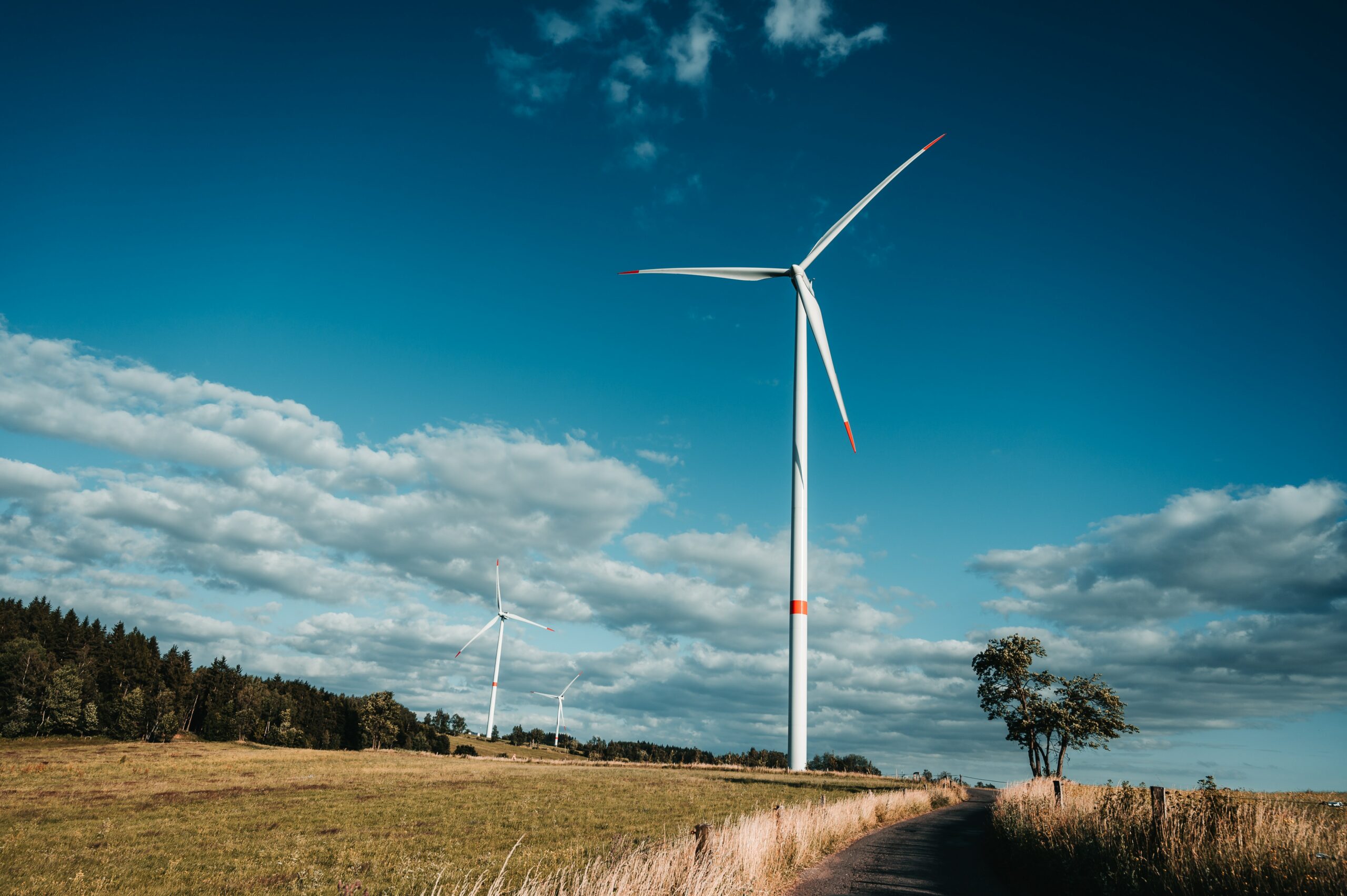 jan-kopriva-DbPl124fzu4-unsplash
